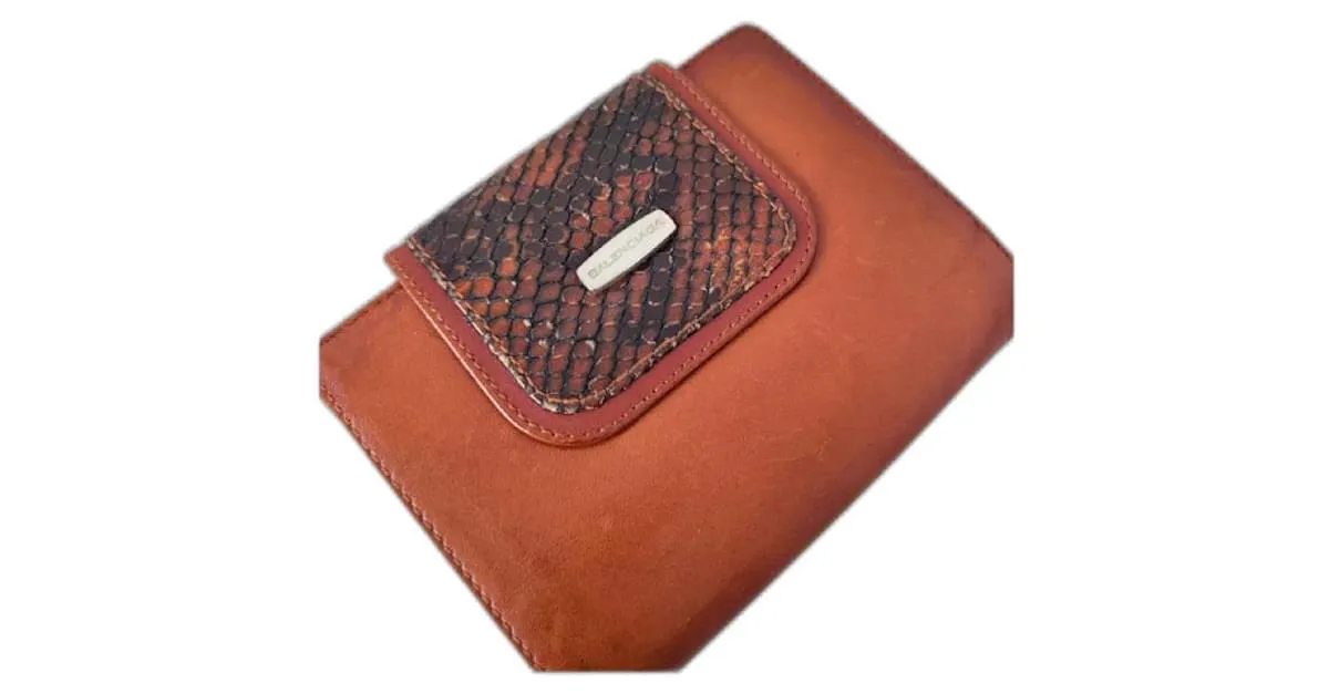 Everyday Balenciaga Monederos, carteras, casos Marrón claro Marrón oscuro 