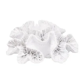 Figura Coral